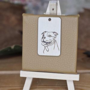 Ein fröhliches Hundegesicht mit offenem Maul und Zunge – pure Lebensfreude.